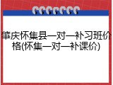 肇庆怀集县一对一补习班价格(怀集一对一补课价)