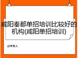 咸阳秦都单招培训比较好的机构(咸阳单招培训)
