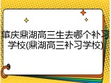 肇庆鼎湖高三生去哪个补习学校(鼎湖高三补习学校)