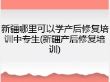 新疆哪里可以学产后修复培训中专生(新疆产后修复培训)