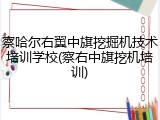 察哈尔右翼中旗挖掘机技术培训学校(察右中旗挖机培训)