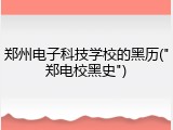郑州电子科技学校的黑历("郑电校黑史")