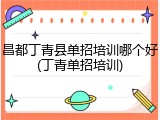昌都丁青县单招培训哪个好(丁青单招培训)
