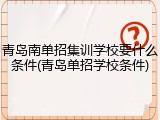 青岛南单招集训学校要什么条件(青岛单招学校条件)