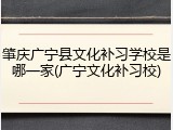肇庆广宁县文化补习学校是哪一家(广宁文化补习校)