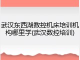 武汉东西湖数控机床培训机构哪里学(武汉数控培训)