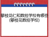 攀枝花仁和数控学校有哪些(攀枝花数控学校)