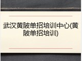武汉黄陂单招培训中心(黄陂单招培训)