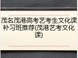 茂名茂港高考艺考生文化课补习班推荐(茂港艺考文化课)
