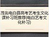 茂名电白县高考艺考生文化课补习班推荐(电白艺考文化补习)