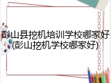 彭山县挖机培训学校哪家好(彭山挖机学校哪家好)