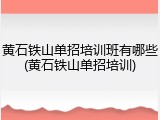 黄石铁山单招培训班有哪些(黄石铁山单招培训)