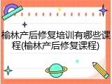 榆林产后修复培训有哪些课程(榆林产后修复课程)