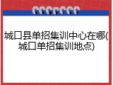 城口县单招集训中心在哪(城口单招集训地点)