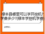 禄丰县哪里可以学开挖机?学费多少?(禄丰学挖机学费)