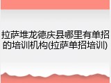 拉萨堆龙德庆县哪里有单招的培训机构(拉萨单招培训)