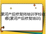漯河产后修复师培训学校在哪(漯河产后修复培训)