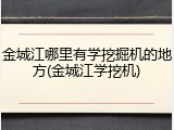 金城江哪里有学挖掘机的地方(金城江学挖机)