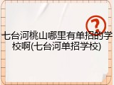 七台河桃山哪里有单招的学校啊(七台河单招学校)