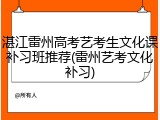 湛江雷州高考艺考生文化课补习班推荐(雷州艺考文化补习)