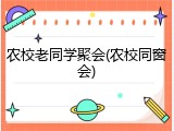 农校老同学聚会(农校同窗会)