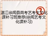 湛江徐闻县高考艺考生文化课补习班推荐(徐闻艺考文化课补习)
