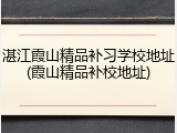湛江霞山精品补习学校地址(霞山精品补校地址)