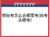 想自考怎么去哪里考(自考去哪考)