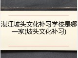 湛江坡头文化补习学校是哪一家(坡头文化补习)