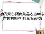 克孜勒苏阿克陶县农业中专学校有哪些(阿克陶农校)