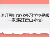 湛江霞山文化补习学校是哪一家(湛江霞山补校)