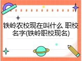 铁岭农校现在叫什么 职校名字(铁岭职校现名)