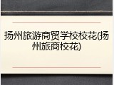 扬州旅游商贸学校校花(扬州旅商校花)