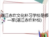 湛江赤坎文化补习学校是哪一家(湛江赤坎补校)