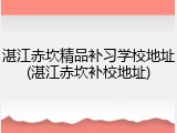湛江赤坎精品补习学校地址(湛江赤坎补校地址)