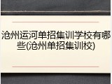 沧州运河单招集训学校有哪些(沧州单招集训校)