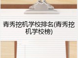 青秀挖机学校排名(青秀挖机学校榜)