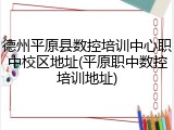 德州平原县数控培训中心职中校区地址(平原职中数控培训地址)