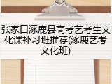 张家口涿鹿县高考艺考生文化课补习班推荐(涿鹿艺考文化班)