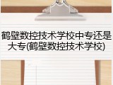 鹤壁数控技术学校中专还是大专(鹤壁数控技术学校)
