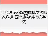 西乌珠穆沁旗挖掘机学校哪家靠谱(西乌旗靠谱挖机学校)