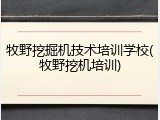 牧野挖掘机技术培训学校(牧野挖机培训)