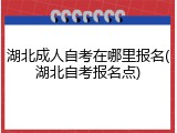 湖北成人自考在哪里报名(湖北自考报名点)