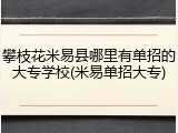 攀枝花米易县哪里有单招的大专学校(米易单招大专)