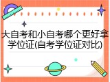 大自考和小自考哪个更好拿学位证(自考学位证对比)