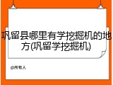 巩留县哪里有学挖掘机的地方(巩留学挖掘机)
