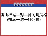 佛山禅城一对一补习班价格(禅城一对一补习价)