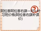 阿拉善阿拉善右旗一对一补习班价格(阿拉善右旗补课价)