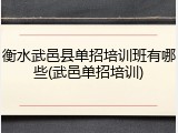 衡水武邑县单招培训班有哪些(武邑单招培训)