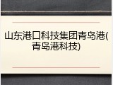 山东港口科技集团青岛港(青岛港科技)